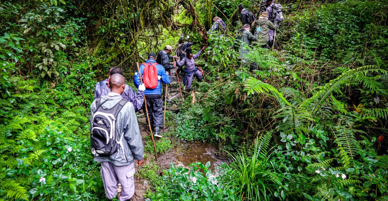 Jinja Rafting, Sipi Falls & Mount Elgon Adventure