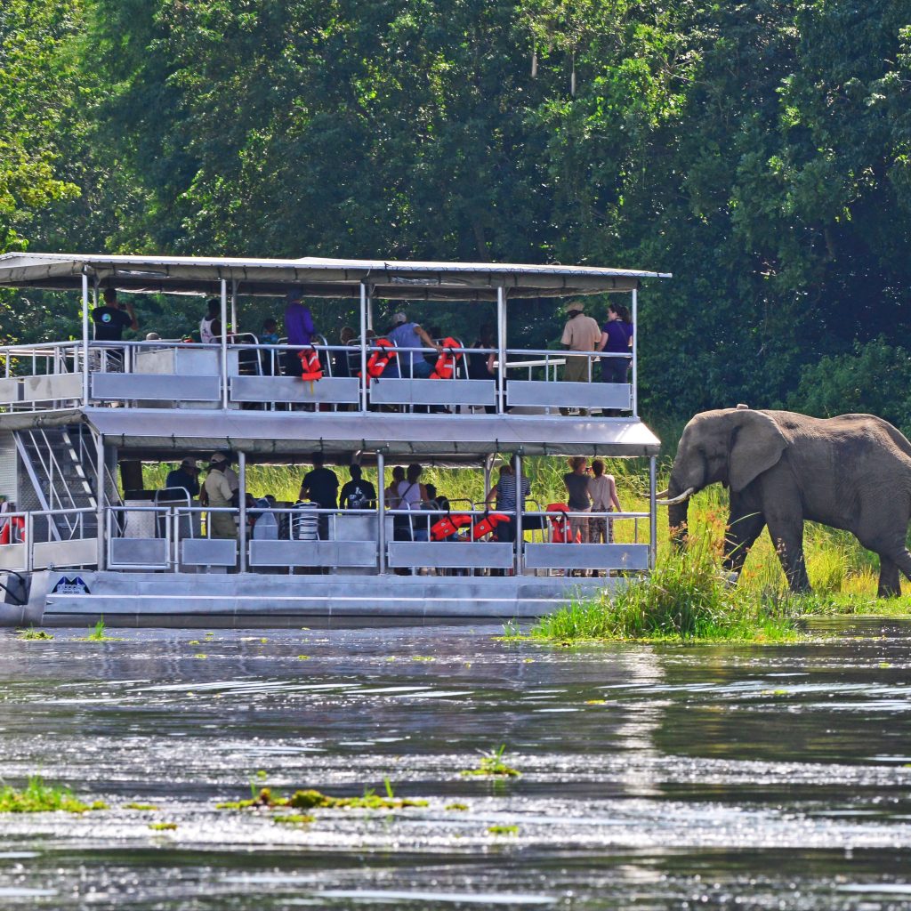 Murchison Falls Boat Cruise - Africa Sustainable Journeys