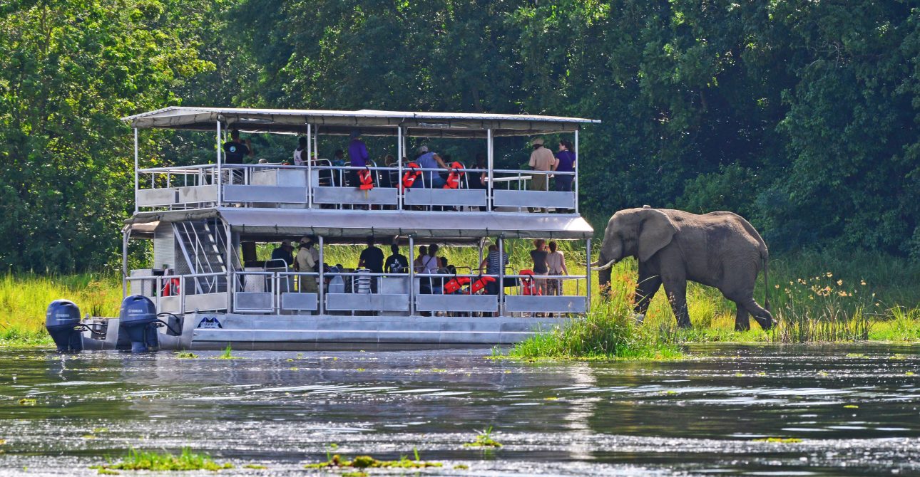 8-Day Uganda Safari: Gorillas & Wildlife