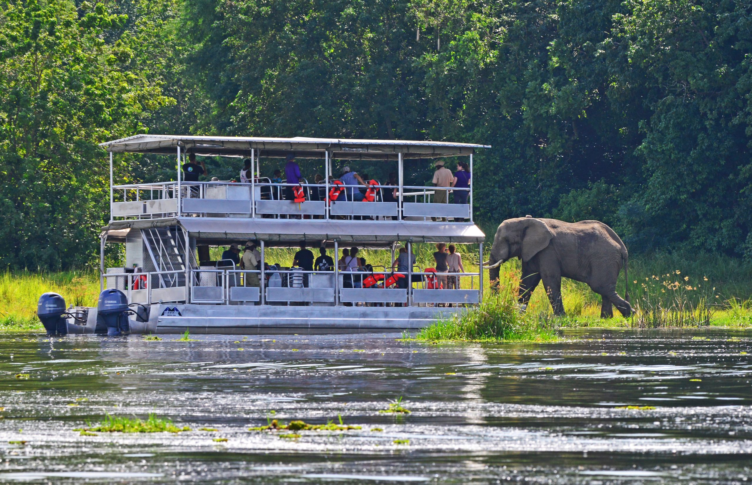 Murchison Falls Boat Cruise - Africa Sustainable Journeys