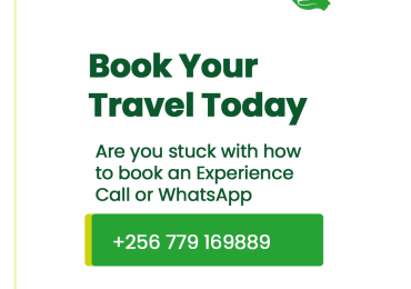 Book-Your-Travel-today