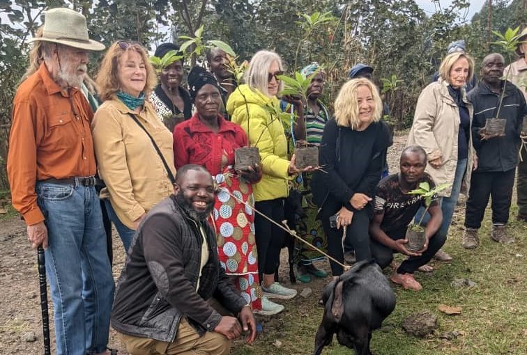 Goats for Gorillas: Empowering Communities, Protecting Gorillas.