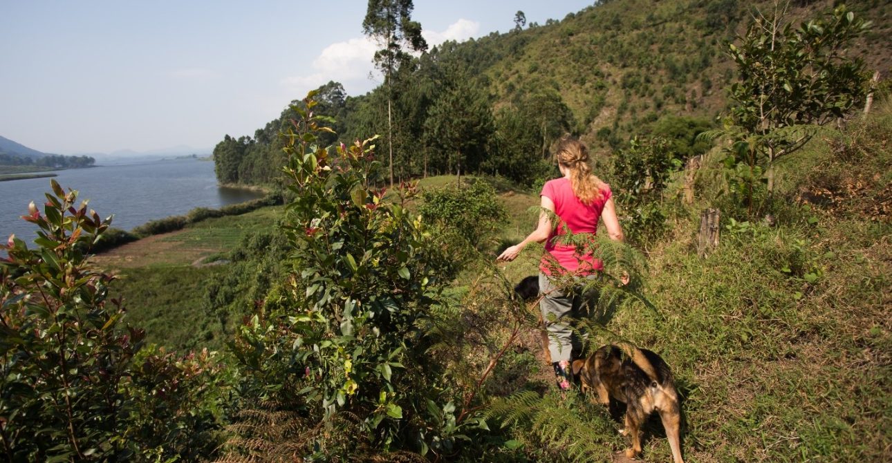 Paws & Planet: Explore Uganda and Rwanda with Your Furry Friend (But Leave Parks to the Wildlife!)