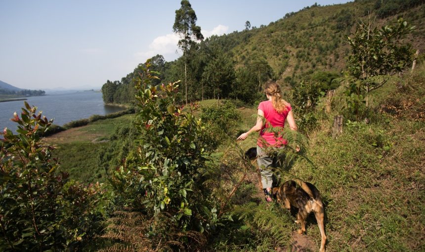 Paws & Planet: Explore Uganda and Rwanda with Your Furry Friend (But Leave Parks to the Wildlife!)