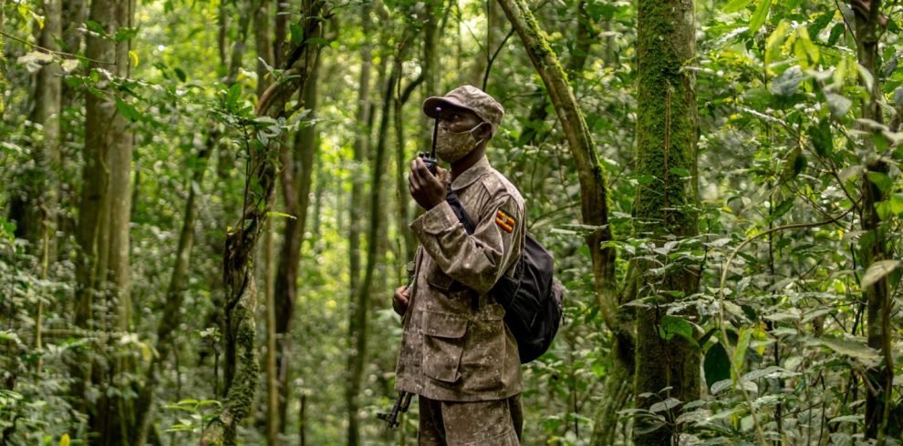 Semuliki National Park: The Birdwatcher's Paradise