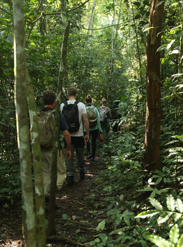 Nyugwe National Park - Africa Sustsinable Journeys