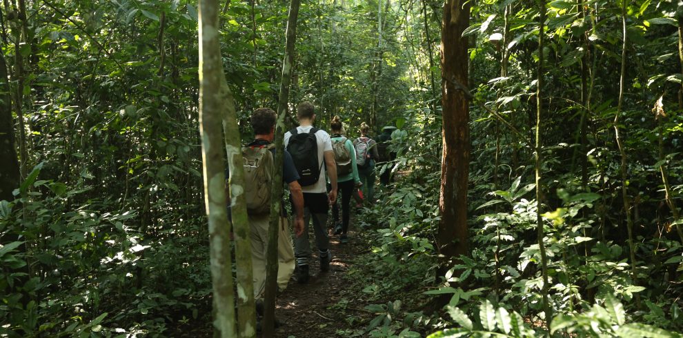 Nyugwe National Park - Africa Sustsinable Journeys