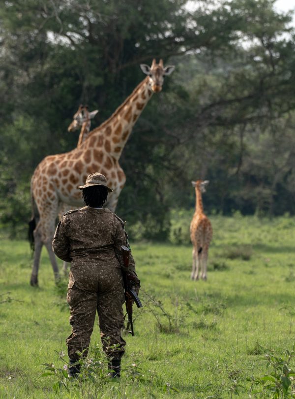 Lake Mburo National Park - Africa Sustainable Journeys