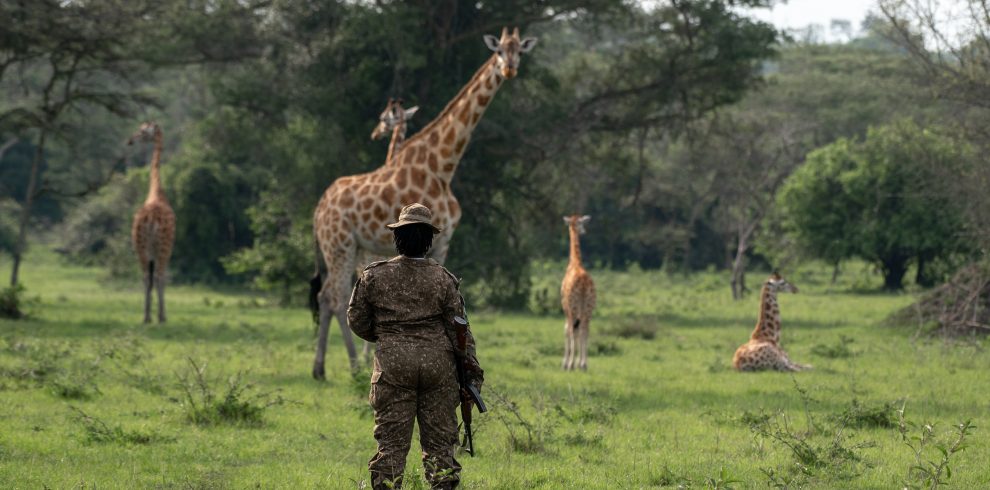 Lake Mburo National Park - Africa Sustainable Journeys