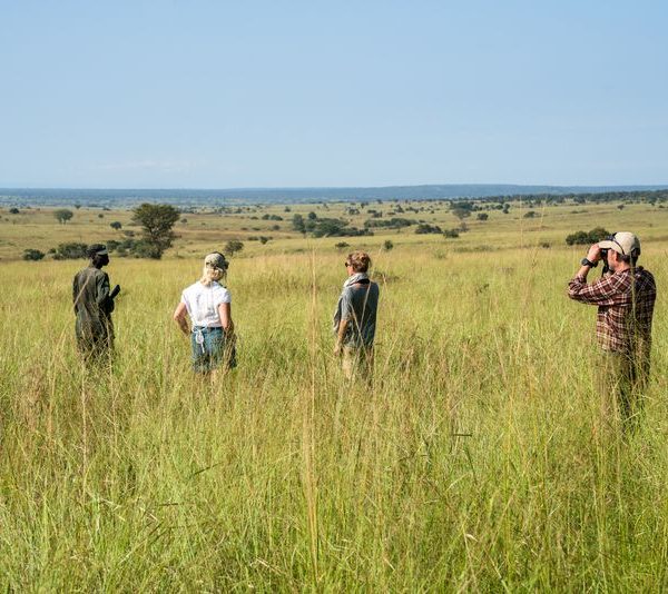 Quuen Elizabeth National Park - Africa Sustainable Journeys