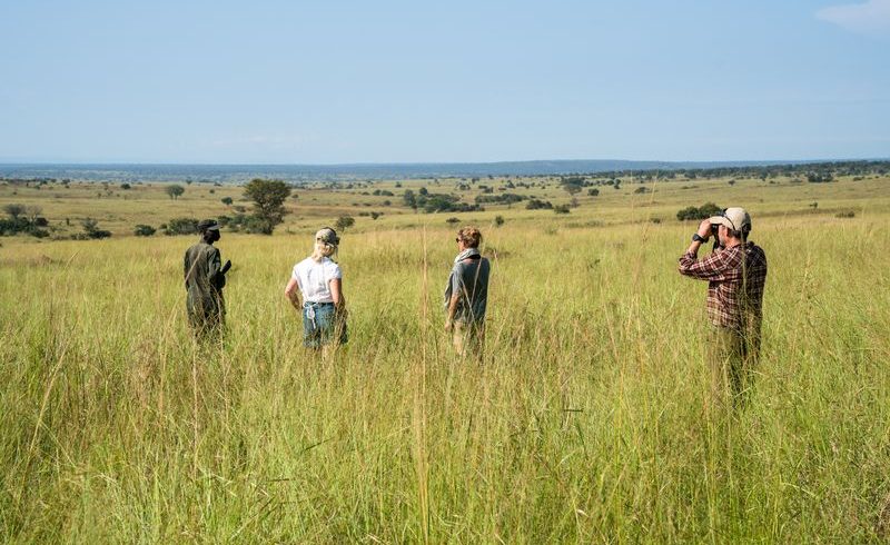 Quuen Elizabeth National Park - Africa Sustainable Journeys